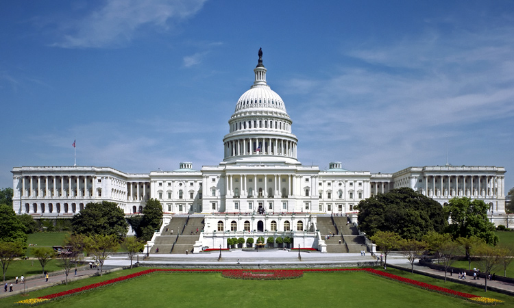Government Military